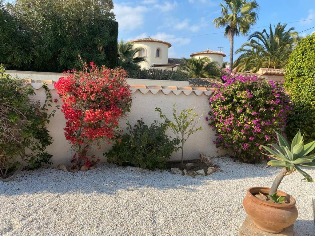 The Best Holiday Villa Calpe Kültér fotó